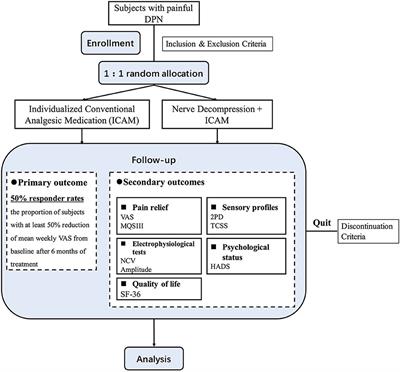 Triple-nerve decompression surgery for the treatment of painful diabetic peripheral neuropathy in lower extremities: A study protocol for a randomized controlled trial